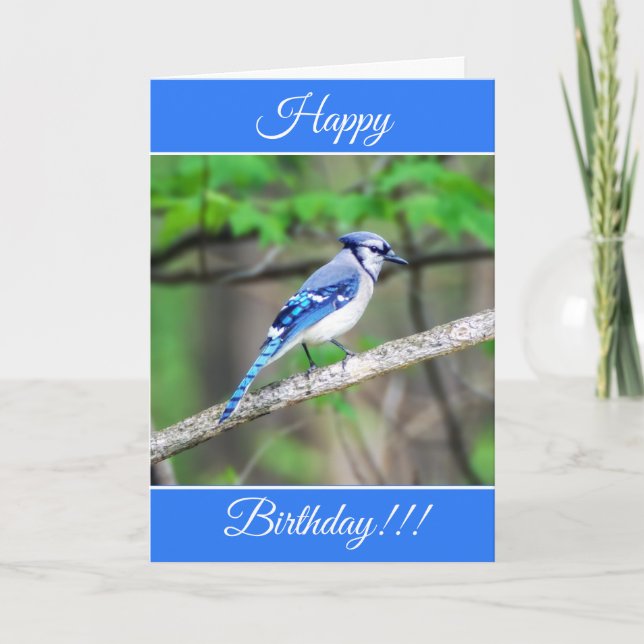 Carte Jay Bleu Anniversaire Personnalisée (Devant)
