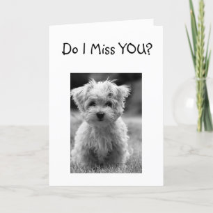 CARTE JE ME MANQUE TELLEMENT TOUTE LA COULEUR A LAISSÉ M