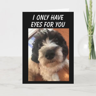 CARTE JE N'AI QUE LES YEUX "POUR VOUS" ANNIVERSAIRE 