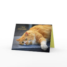 Je Ressens Ta Douleur — Sens Purr-Fect Bientôt Cha