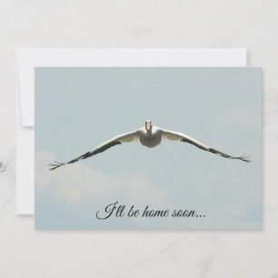 Carte Je serai bientôt à la maison, Pelican Flying 