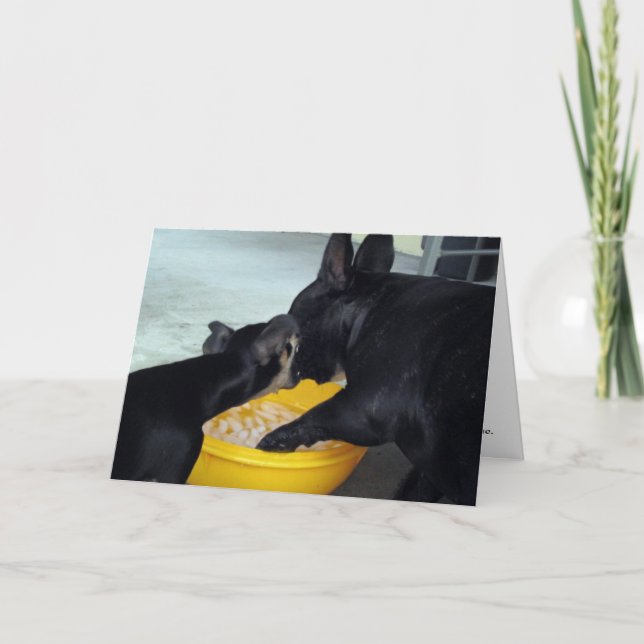 Carte Je suis désolé (Devant)