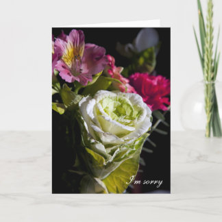 Carte Je suis désolé