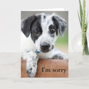 Carte Je suis désolé