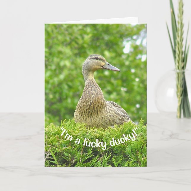 CARTE "JE SUIS UN CHALEUREUX CANARD/T'AI EU POUR UN PÈRE (Devant)