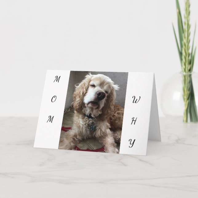 Carte "JE SUIS UN CHIEN CHALEUREUX" d'avoir **VOUS** MÈR (Devant)