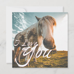 Carte Je t'aime avec un cheval regardant