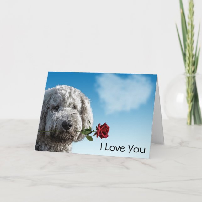 Carte Je t'aime Rose rouge (Devant)