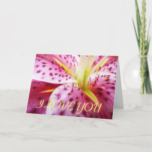 Carte Je T'Aime Stargazer Lily Card