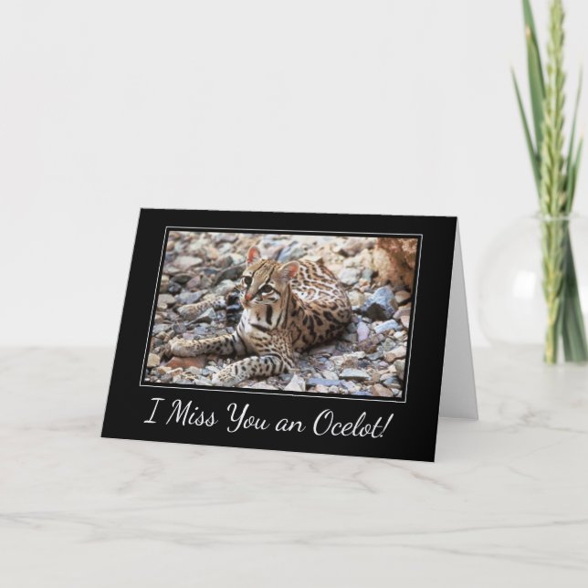 Carte Je te manque un Amoureux des chats de beaucoup d'o (Devant)
