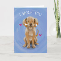 Je te maudis chien mignon avec amour osseux