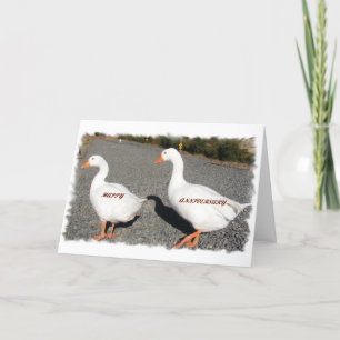 Carte Je te suivrais n'importe où