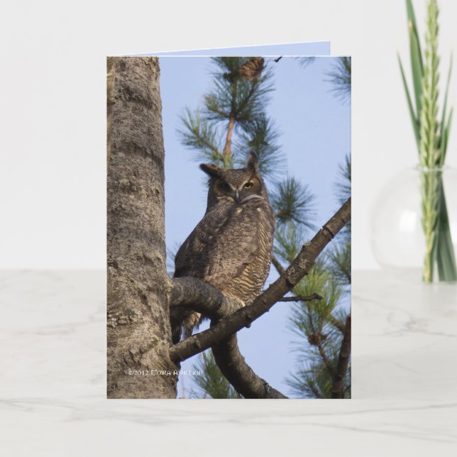 Carte Je Te Vois (Devant)