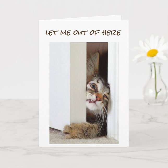 Carte JE VEUX DIRE **HEUREUX 11e ANNIVERSAIRE** à "VOUS" (Petite plante)