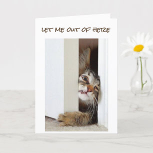 Carte JE VEUX DIRE **HEUREUX 16ème ANNIVERSAIRE** À "VOU