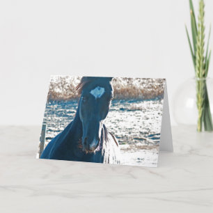 Carte Je viens à Ya