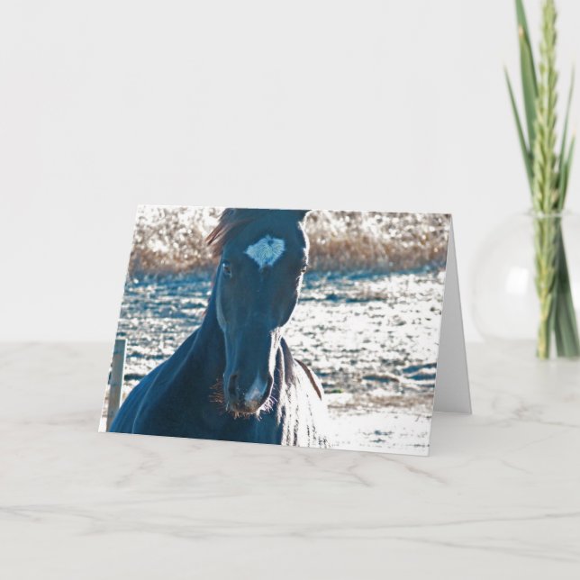 Carte Je viens à Ya (Devant)