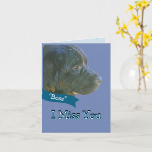 Carte "Je Vous Manque" Beau, Triste Chien Newfie