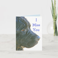 "Je Vous Manque" Beau, Triste Chien Newfie