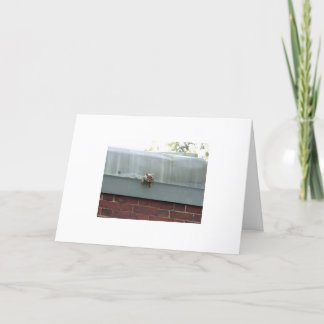 Carte je vous observe