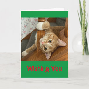 Carte Je Vous Souhaite Meowy Christmas !