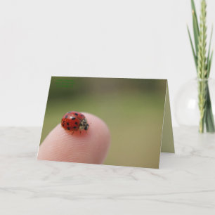 Carte J'entends que tu as attrapé un bourreau