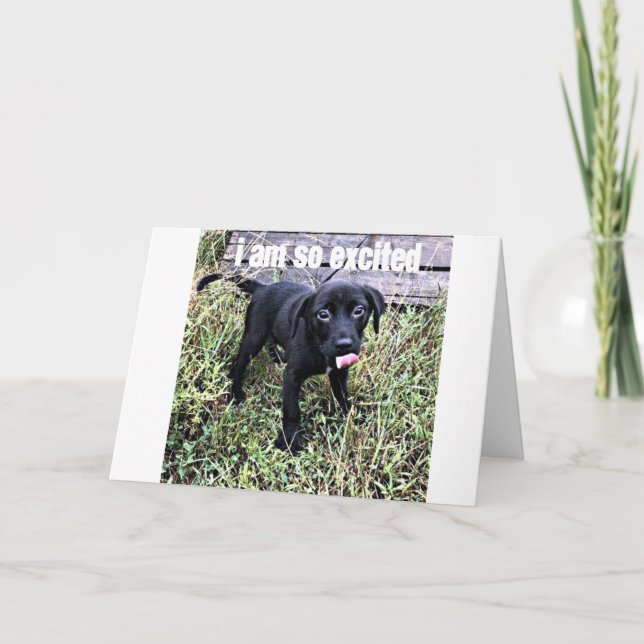 CARTE J'ENVOIE UN SOURIRE ET JE DIS ***FÉLICITATIONS*** (Devant)