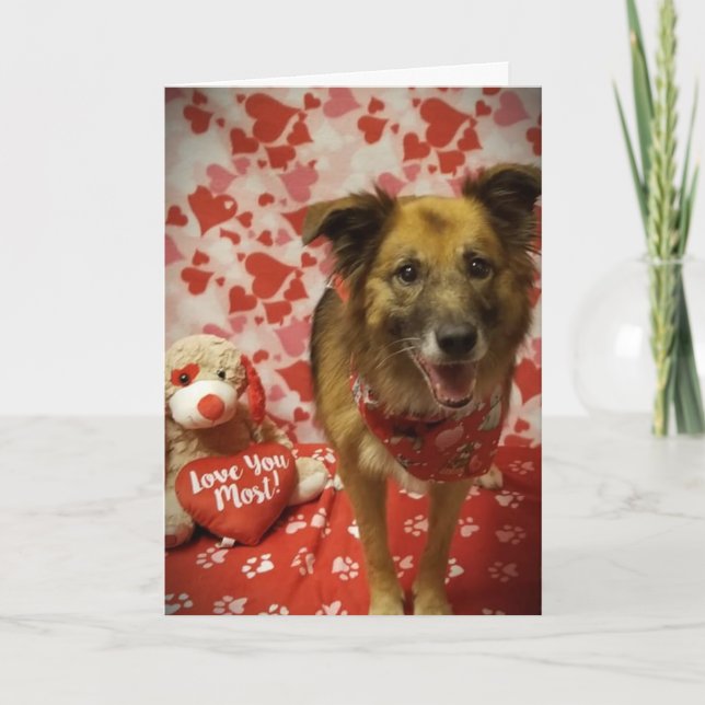 CARTE **J'ESPÈRE QUE TU DIRAS OUI À MA QUESTION** DE LA  (Devant)