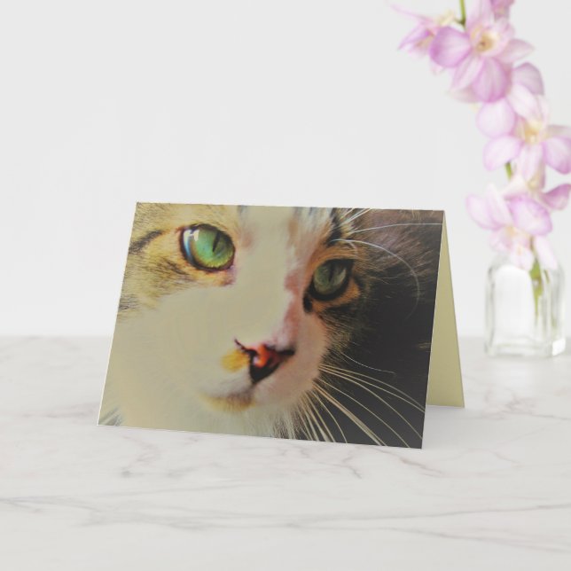 Carte Jetez un coup d'oeil Chat aux yeux verts (Orchidée)