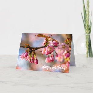 Carte Jeu De Lumière Et D'Ombre Sur Les Pétales Fleurs S