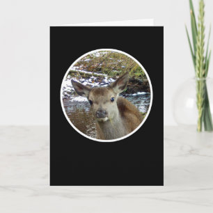 Carte Jeune Cerf Suave au Bord de l'Eau Toucher Subtil d