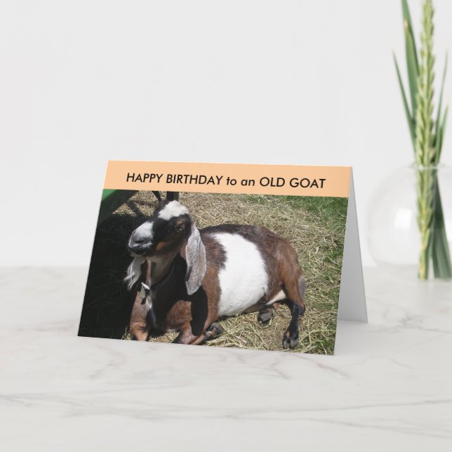 Carte JEUX ANNIVERSAIRE à une vieille chèvre (Devant)