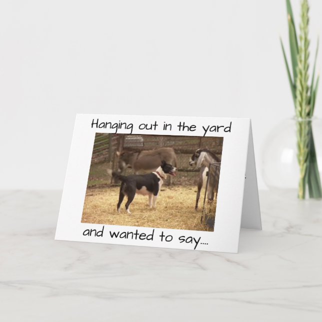 CARTE JEUX ANNIVERSAIRE DES ANIMAUX DE BARNYARD (Devant)