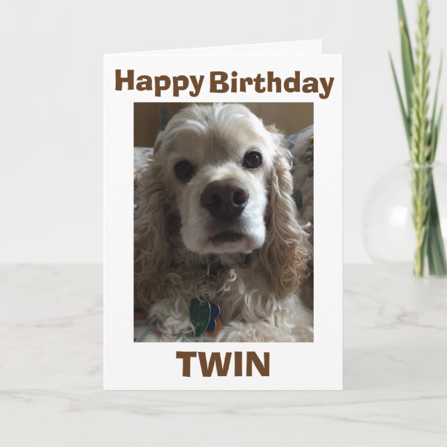 CARTE JEUX ANNIVERSAIRE TWIN DIT CE COCKER CUTE SPANIEL (Devant)