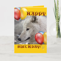 JEUX OEIL loup hibou animal de loup