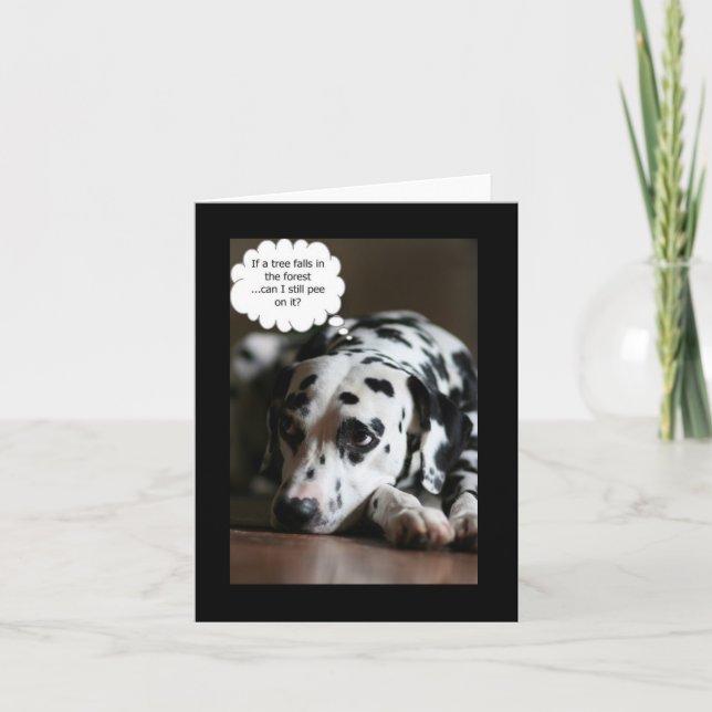 Carte Jiggs philosophique (Devant)