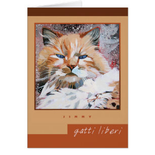 Carte "Jimmy" - Collection Gatti Liberi