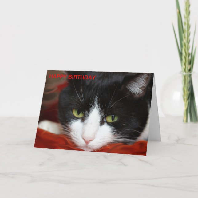 CARTE JOLI ANNIVERSAIRE (Devant)