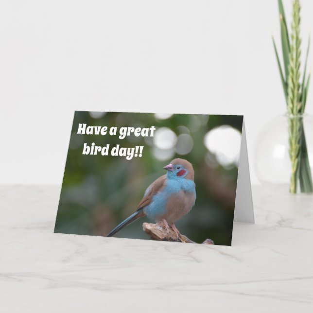 Carte Joli anniversaire bleu finch (Devant)