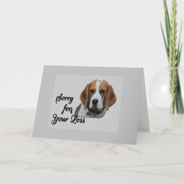 Carte Joli Beagle tricolore Sympathie Désolé pour votre  (Devant)