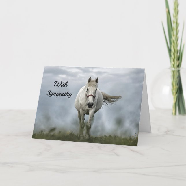 Carte Joli Cheval Blanc Nuage Photo Sympathie (Devant)