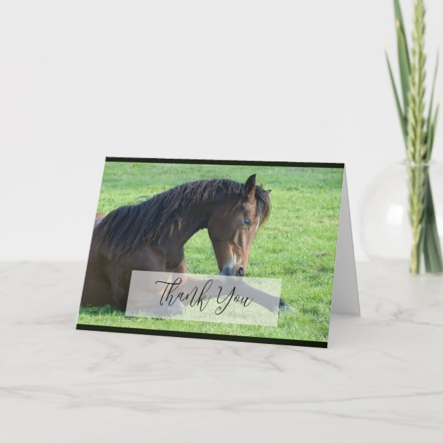 Carte Joli Cheval Brown allongé dans le Merci d'herbe (Devant)