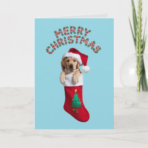 Carte Joli chien Labrador Retriever Noël