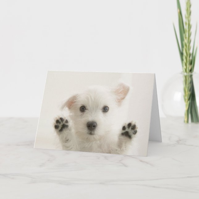 Carte Joli chiot Westie (Devant)
