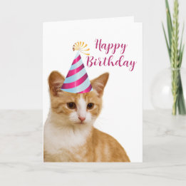 Carte Joli de la part de votre chat Félicitations d'anni