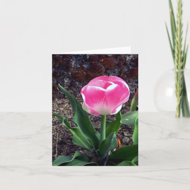 Carte Joli en rose..... (Devant)