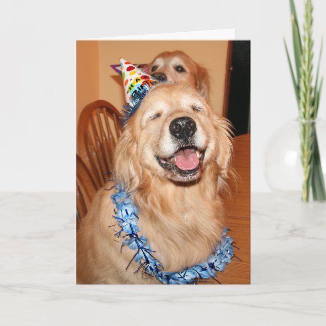 Carte Joli Golden Retriever Anniversaire Wings (Devant)
