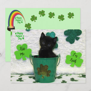 Carte Joli Jack - Chat / Kitten St. Patrick's Day