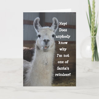 Carte Joli Noël Humoristique Llama