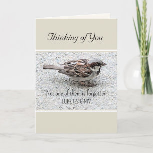 Carte Joli Oiseau Bruant Photo Bible Verse Simple Tan